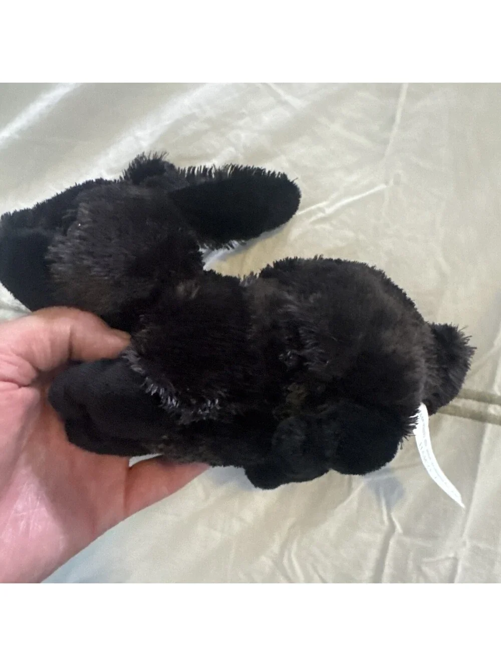2004 Wishpet Harvey Rabbit Plush